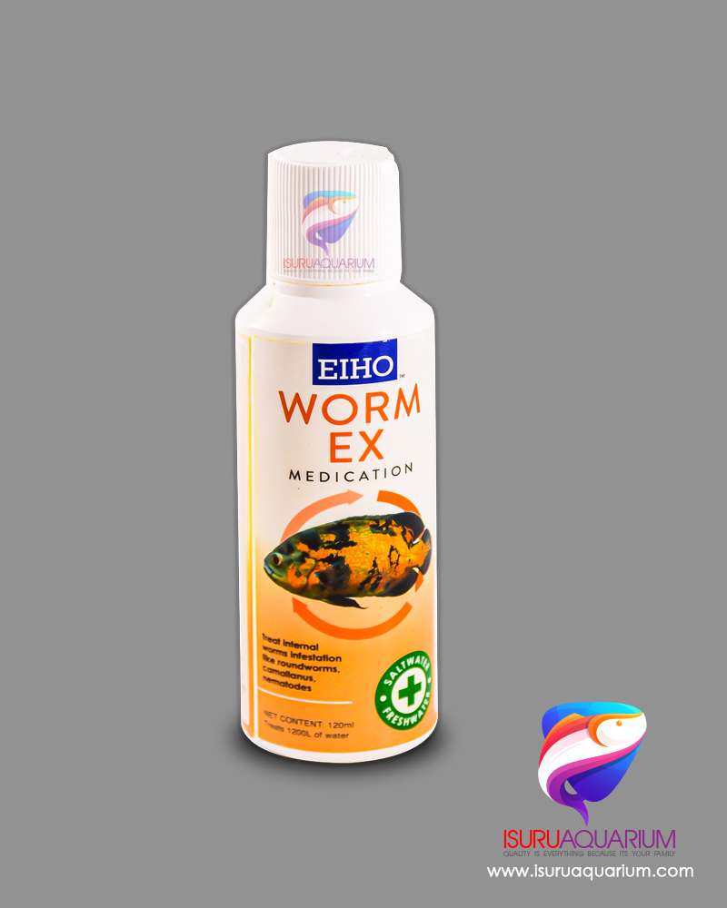 EIHO Worm ex