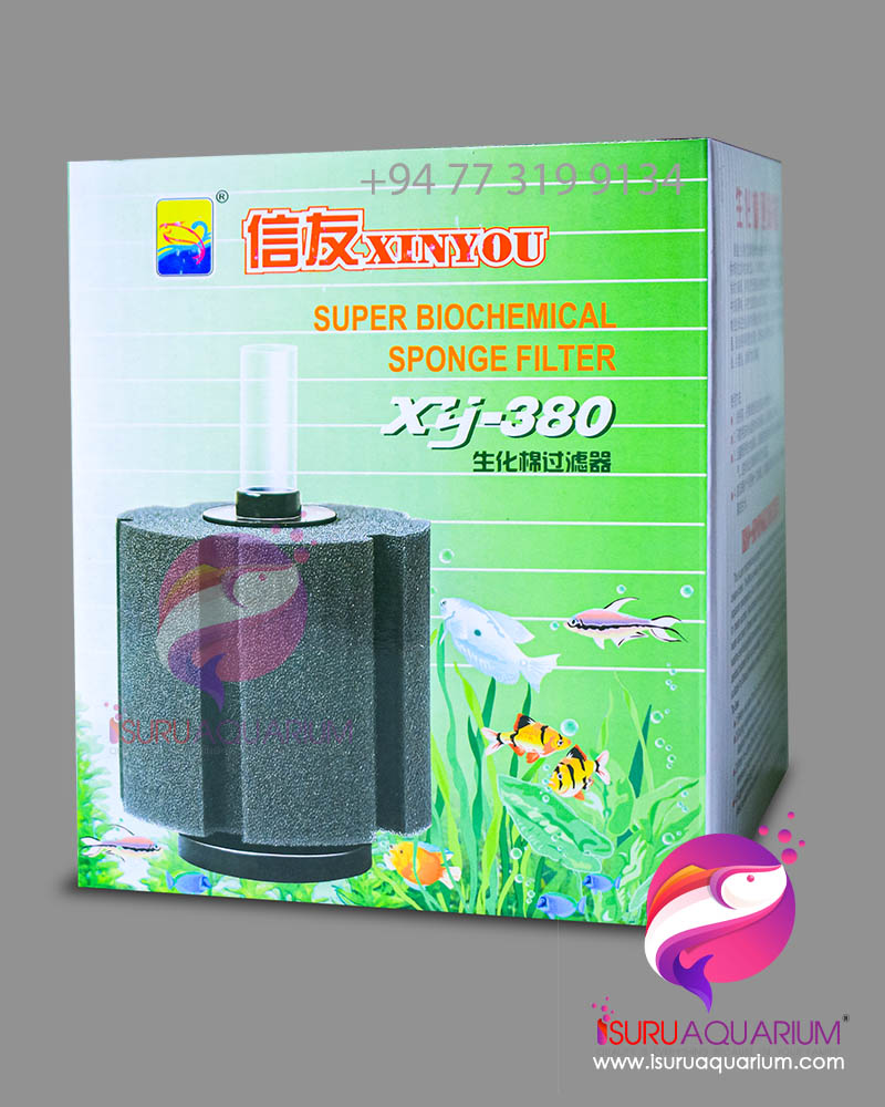 6x filtre éponge de remplacement pour Xy-380 Noir