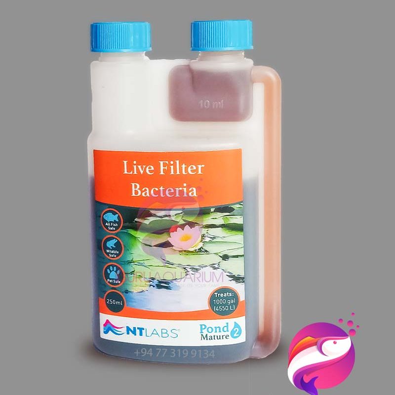 NT Labs Live Filter Bacteria