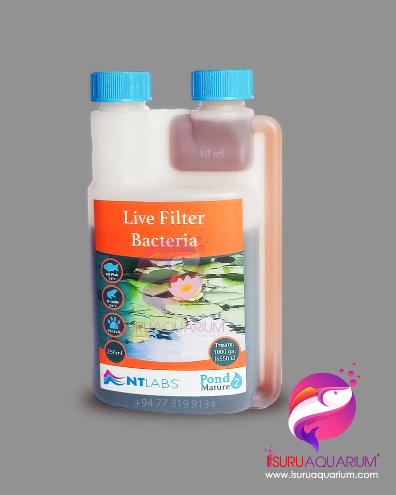 NT Labs Live Filter Bacteria