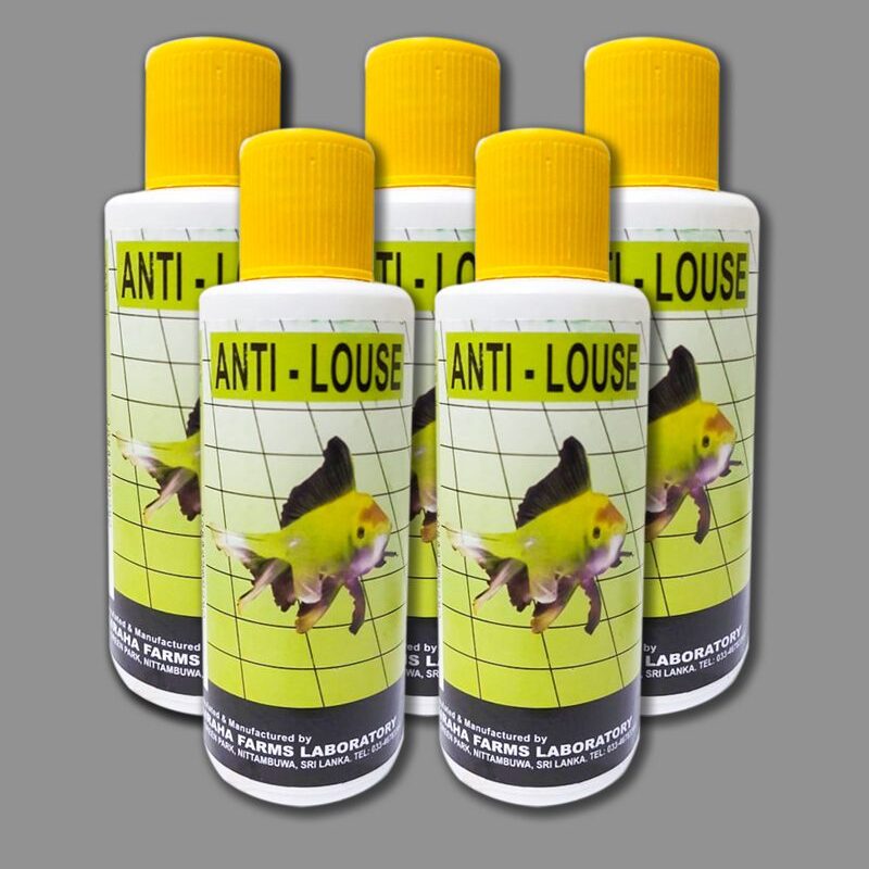 Anti Louse 120 ml X 5 Bottles Pack