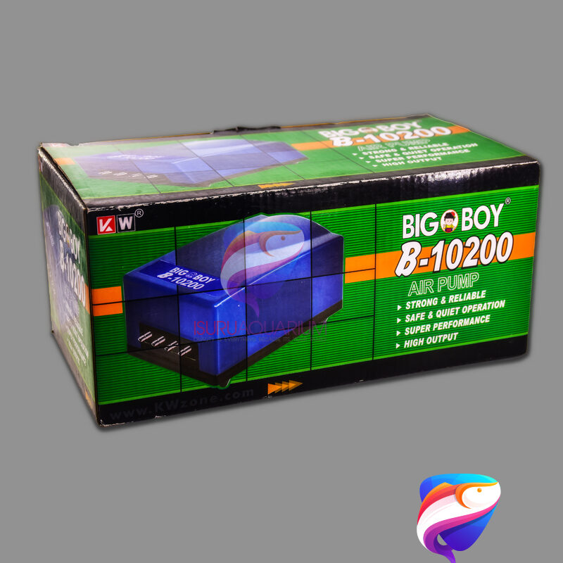 BIG BOY B-10200 AIR PUMP