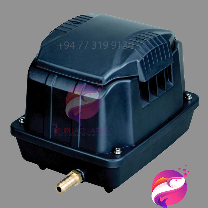 BOYU SES 40 Air Pump