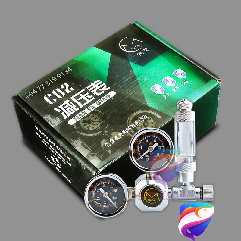 CO2 Regulator JIAN YA BIAO W  21.8