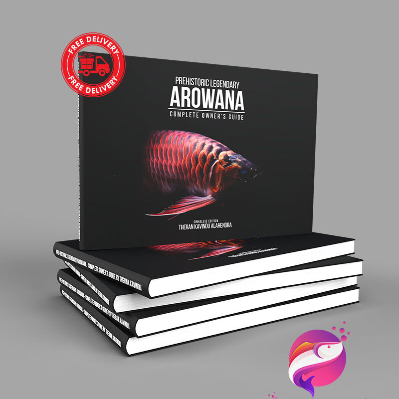 Prehistoric Legendary Arowana Complete Owner's Guide