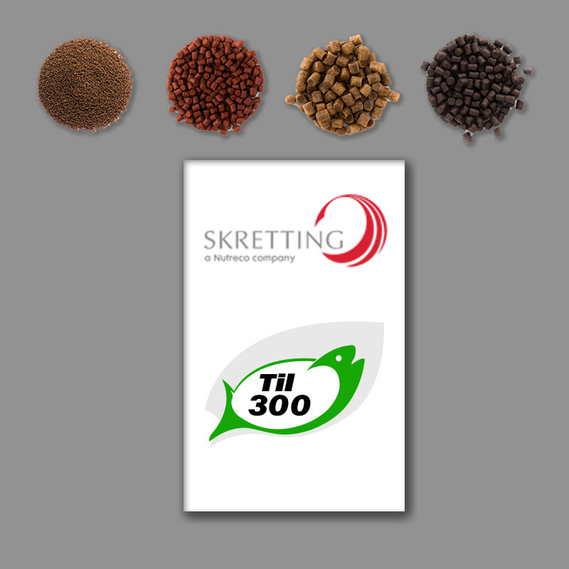 TIL 300 1kg